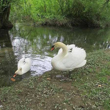 à 10mn Rn10 Et Rn141 ,15mn Angouleme, Cognac, Barbezieux,1h Bordeaux, ! Avec Fibre ! ! Casa vacanze