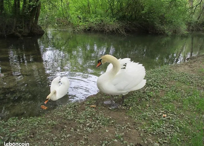 A 10mn Rn10 Et Rn141 ,15mn Angouleme, Cognac, Barbezieux,1h Bordeaux, ! Dom wakacyjny